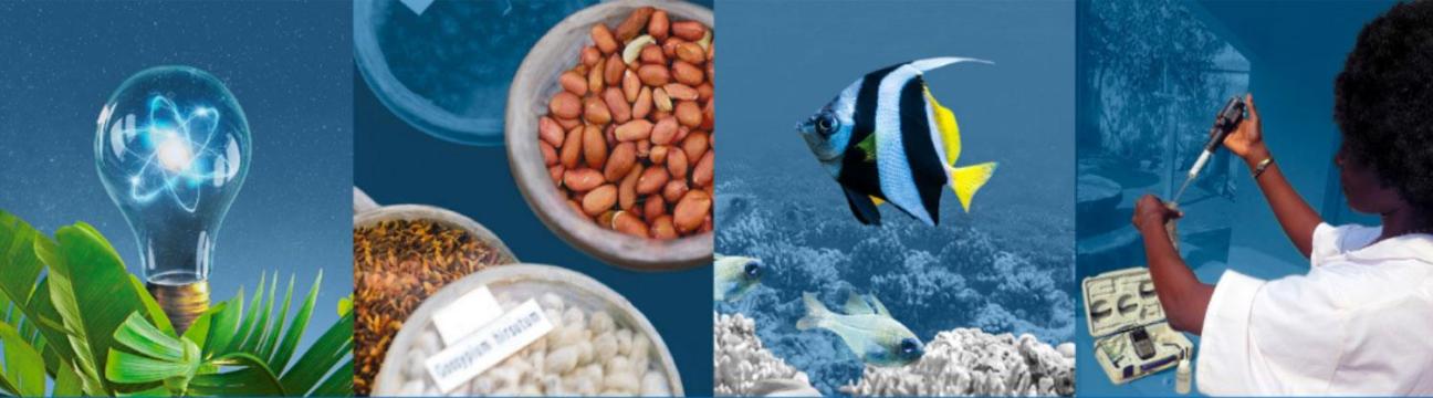 International Atomic Energy Agency (IAEA)