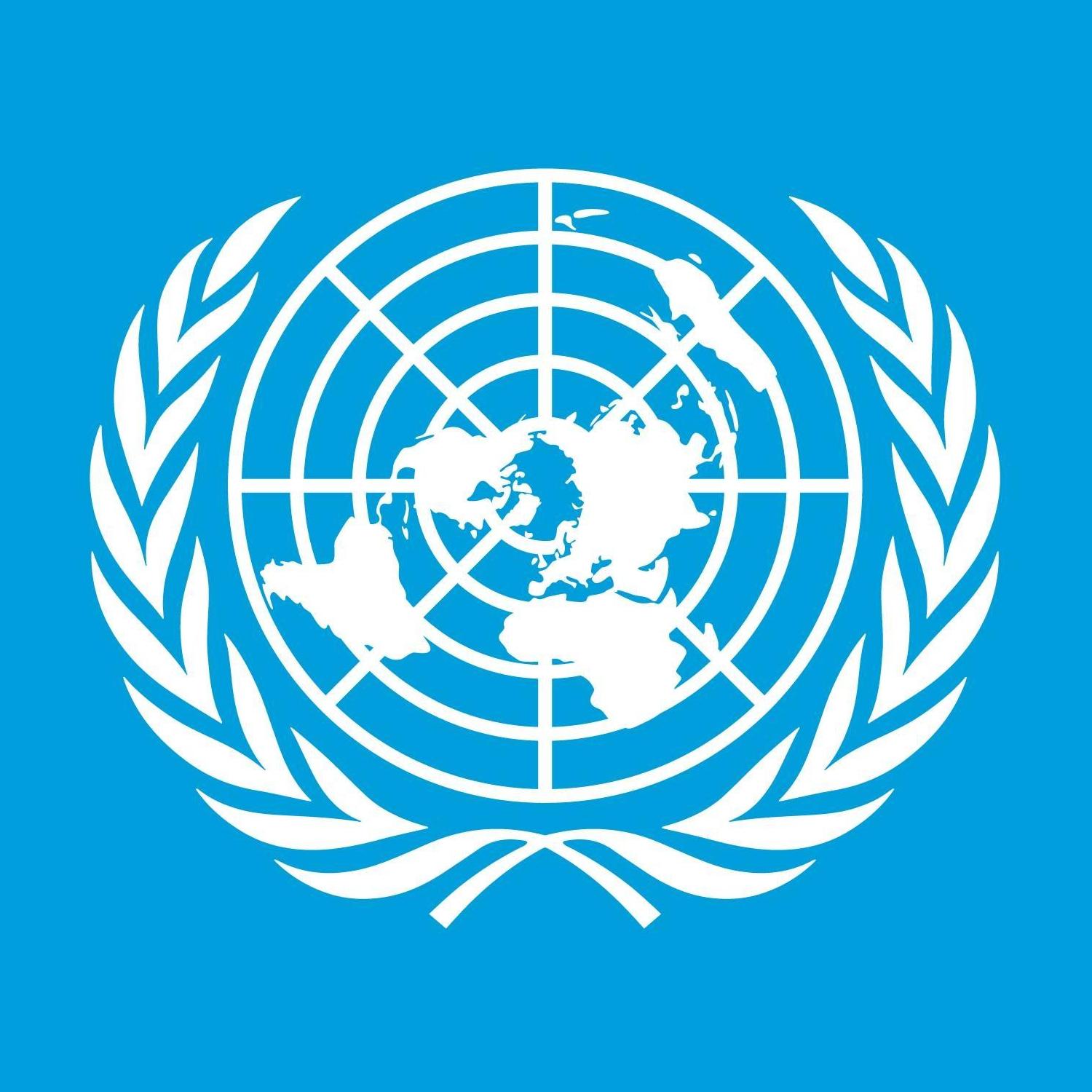 United Nations Careers