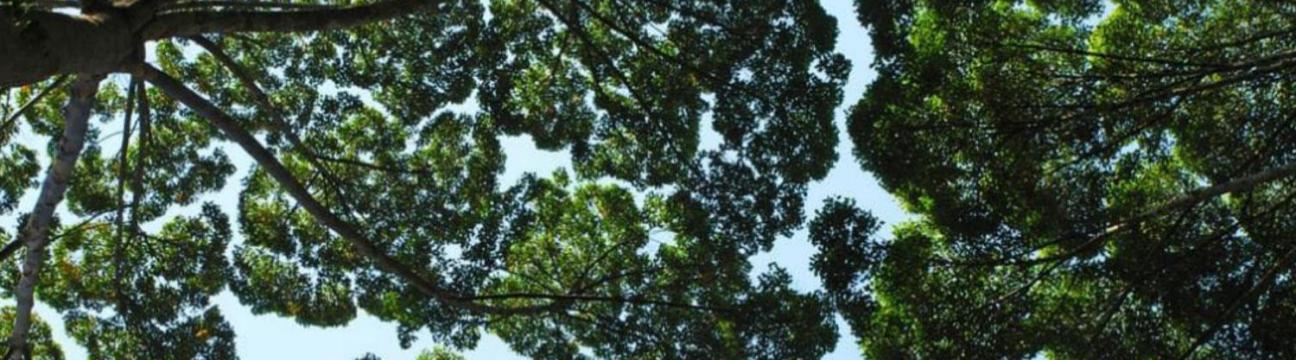 UN Environment Programme 