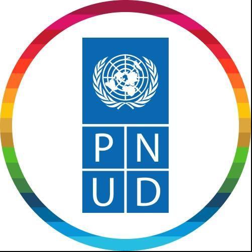 Programme des Nations Unies pour le d&eacute;veloppement - PNUD 